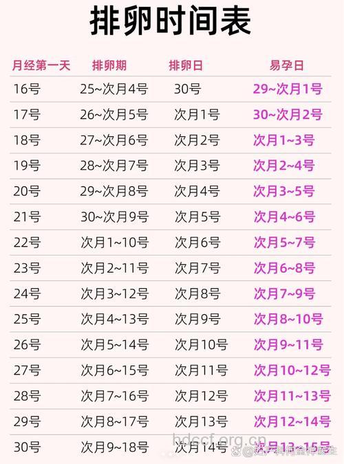 女性月经过后排卵期持续多久