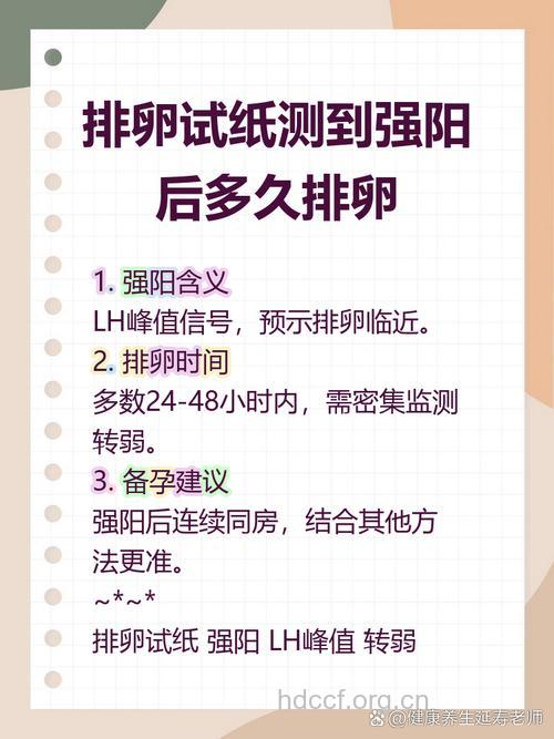 排卵试纸测到强阳后多久排卵