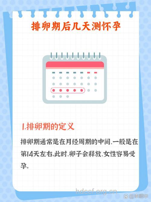 排卵后几天能测出怀孕