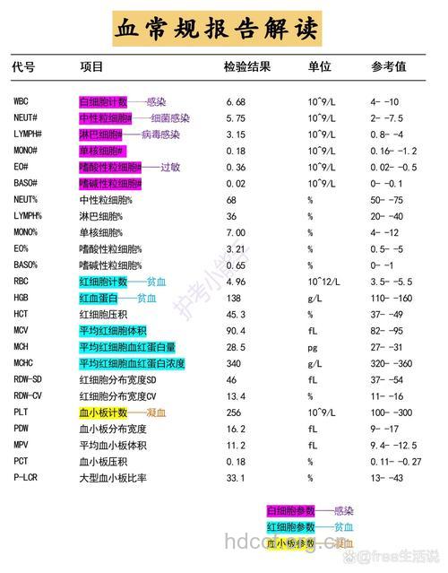 血常规