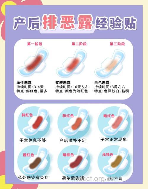 新妈咪必知 产后恶露分阶段