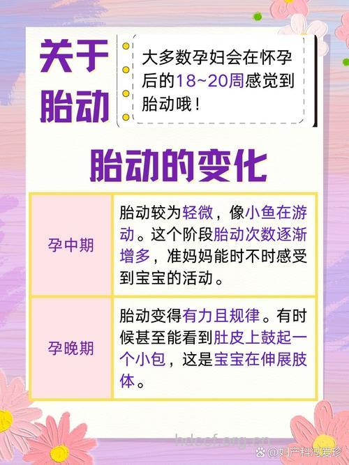 怀孕多久有胎动