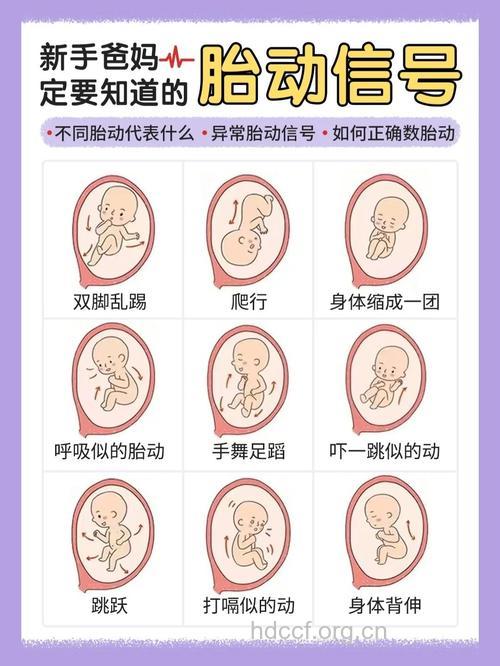 临产前胎动变化