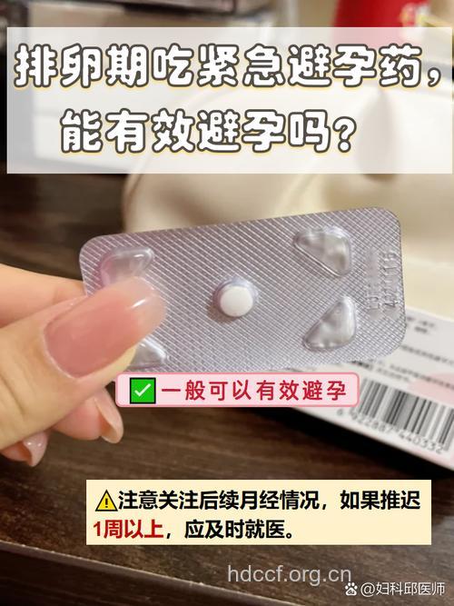 等等!避孕药会使女性卵子“显老”吗?