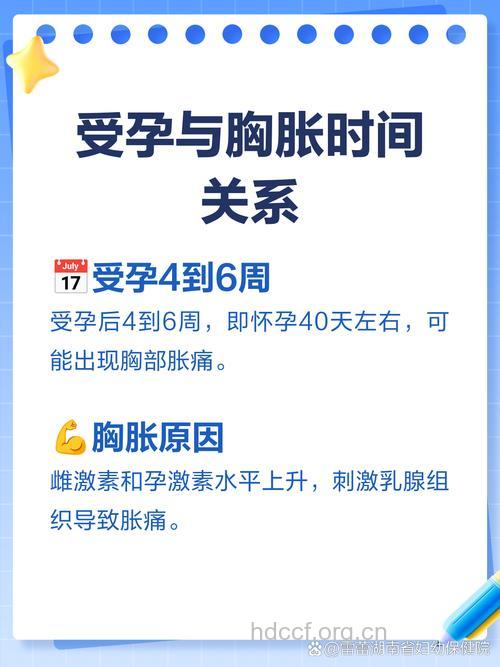 怀孕多久胸部会胀痛