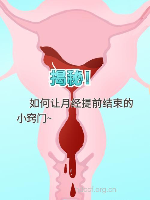 如何让月经提前结束
