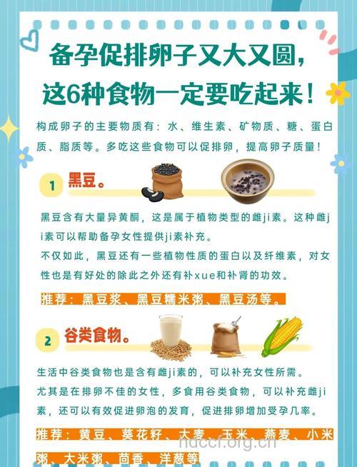 备孕女人吃什么补卵子 6种食物要常吃