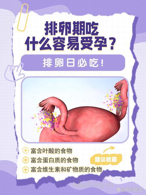 排卵期吃什么易受孕 吃它们让你速怀孕