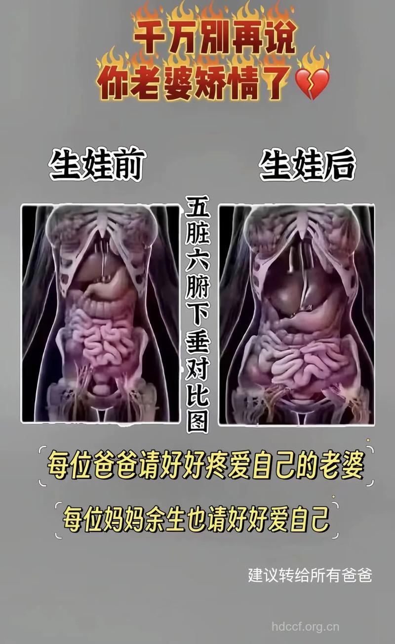 产后身体各器官有哪些变化