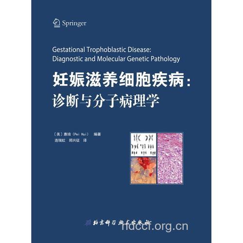 妊娠滋养细胞疾病