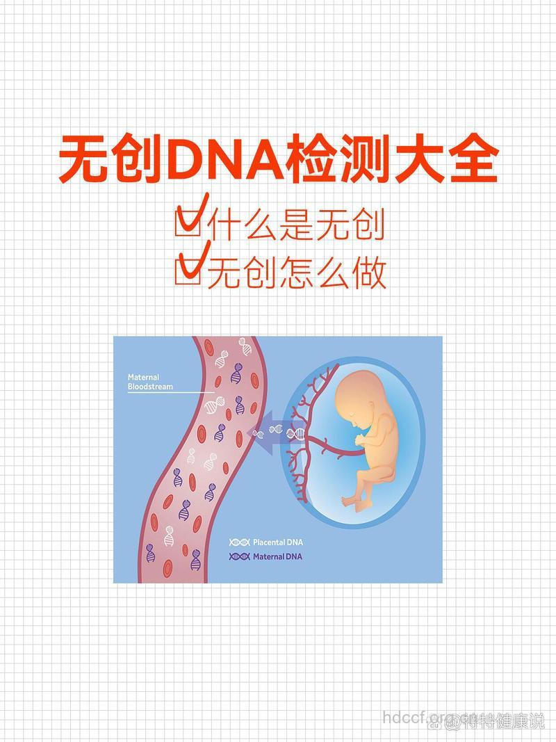 什么是无创DNA