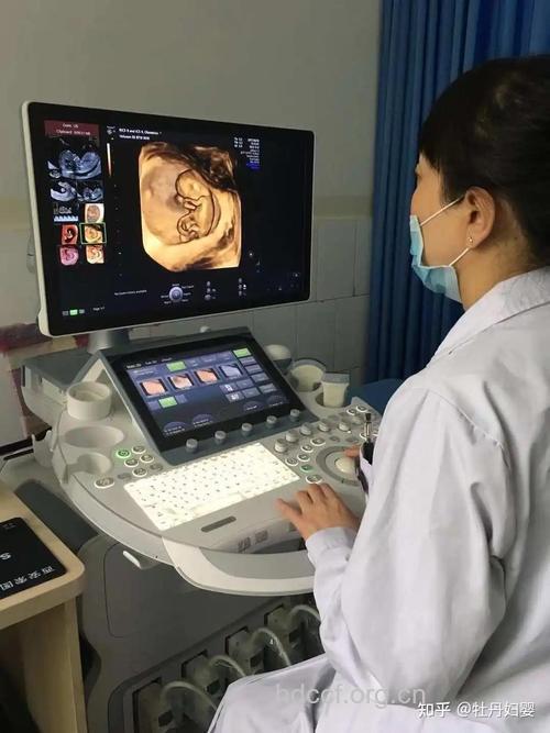 孕早期检查