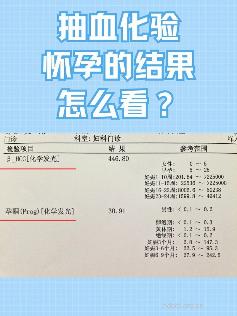 血检怀孕