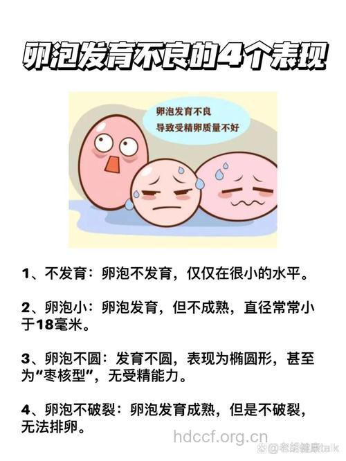 卵泡发育不良影响受孕 病因是什么