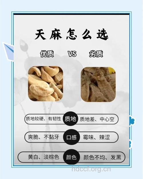 孕妇能吃天麻吗 吃天麻有这些坏处