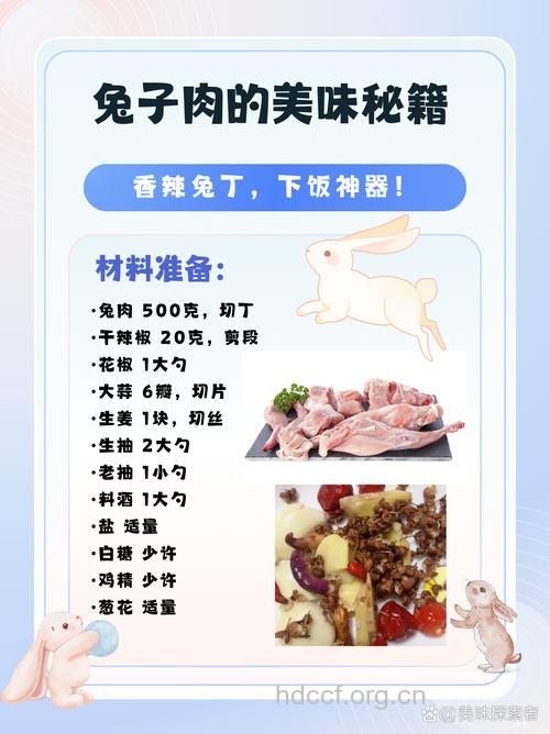 孕妇可以吃兔子肉吗 兔子肉怎么做好吃