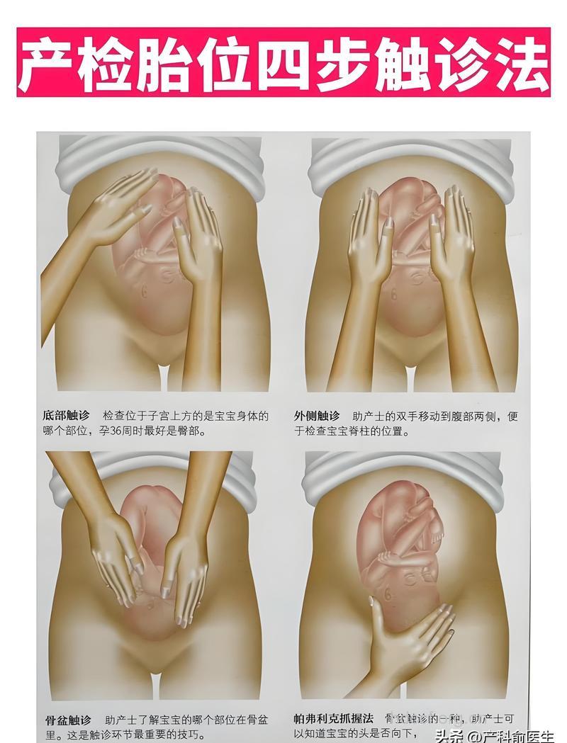 胎儿入盆