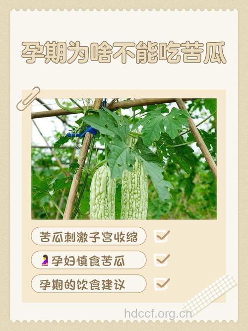 孕妇吃苦瓜会导致流产吗 要注意什么