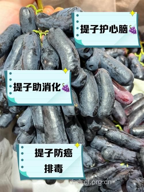 孕妇能吃黑提吗 五大好处要知道