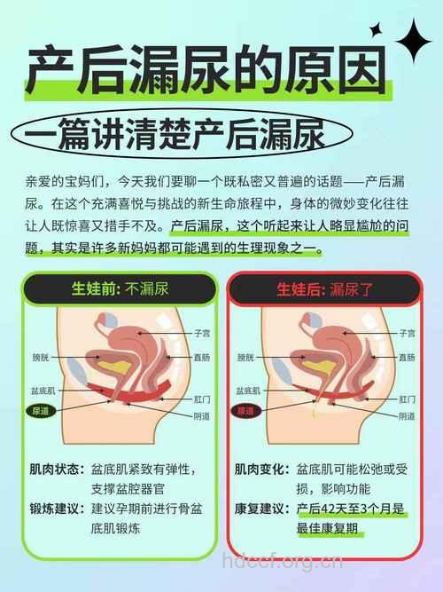 产后有哪些常见问题