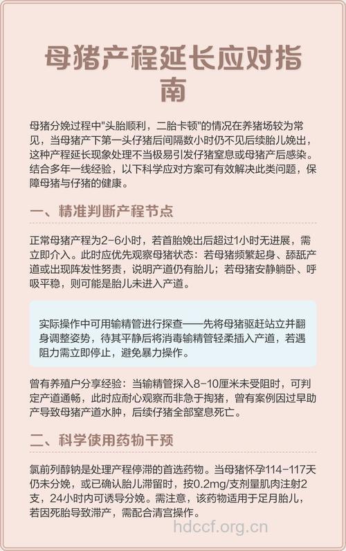 产程延长怎么处理