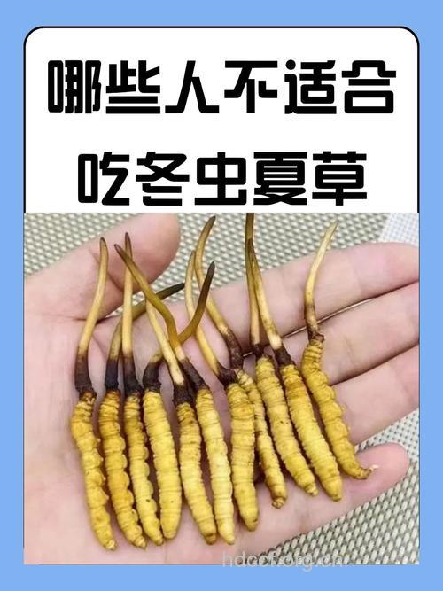 妊娠高血压能吃冬虫夏草吗