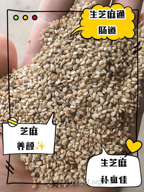 妊娠高血压能吃芝麻吗