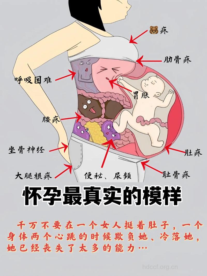 孕育给女性带来五大伤害