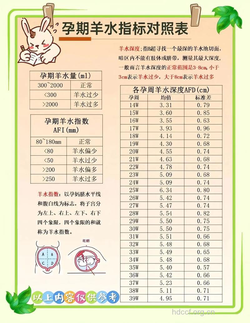 怎么算羊水指数 羊水过多怎么办