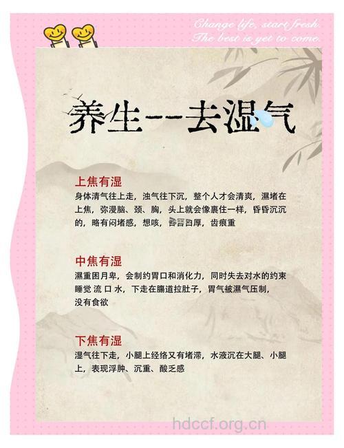 孕妇体内湿气重怎么办？4步轻松搞定！