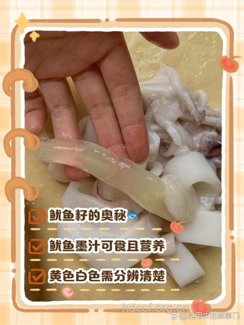 产妇能吃鱿鱼吗