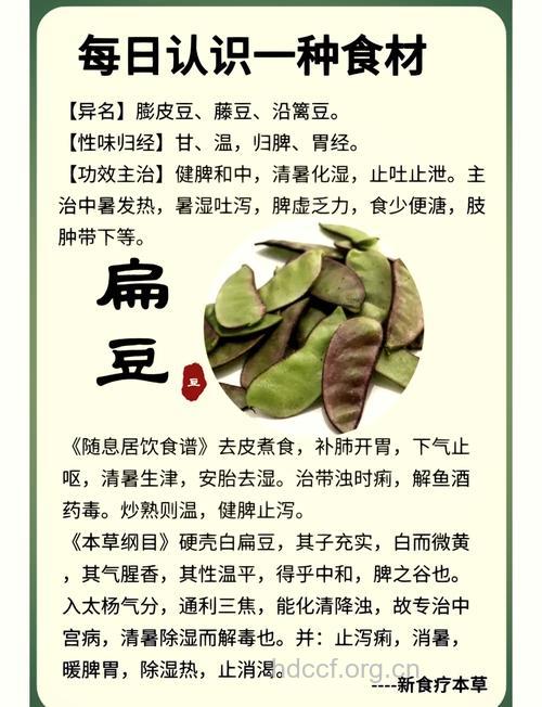 产妇能吃扁豆吗