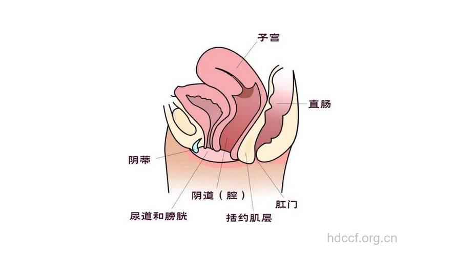 产后阴道疾病