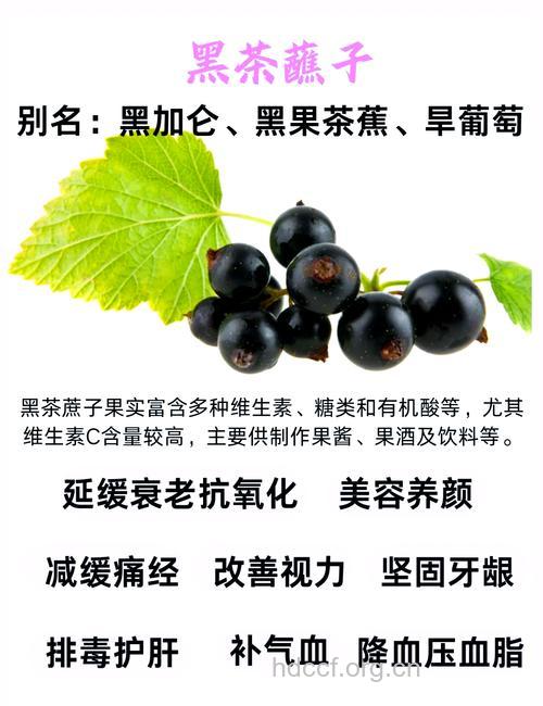 妊娠高血压能吃黑加仑吗