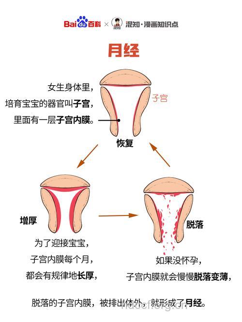 月经先期