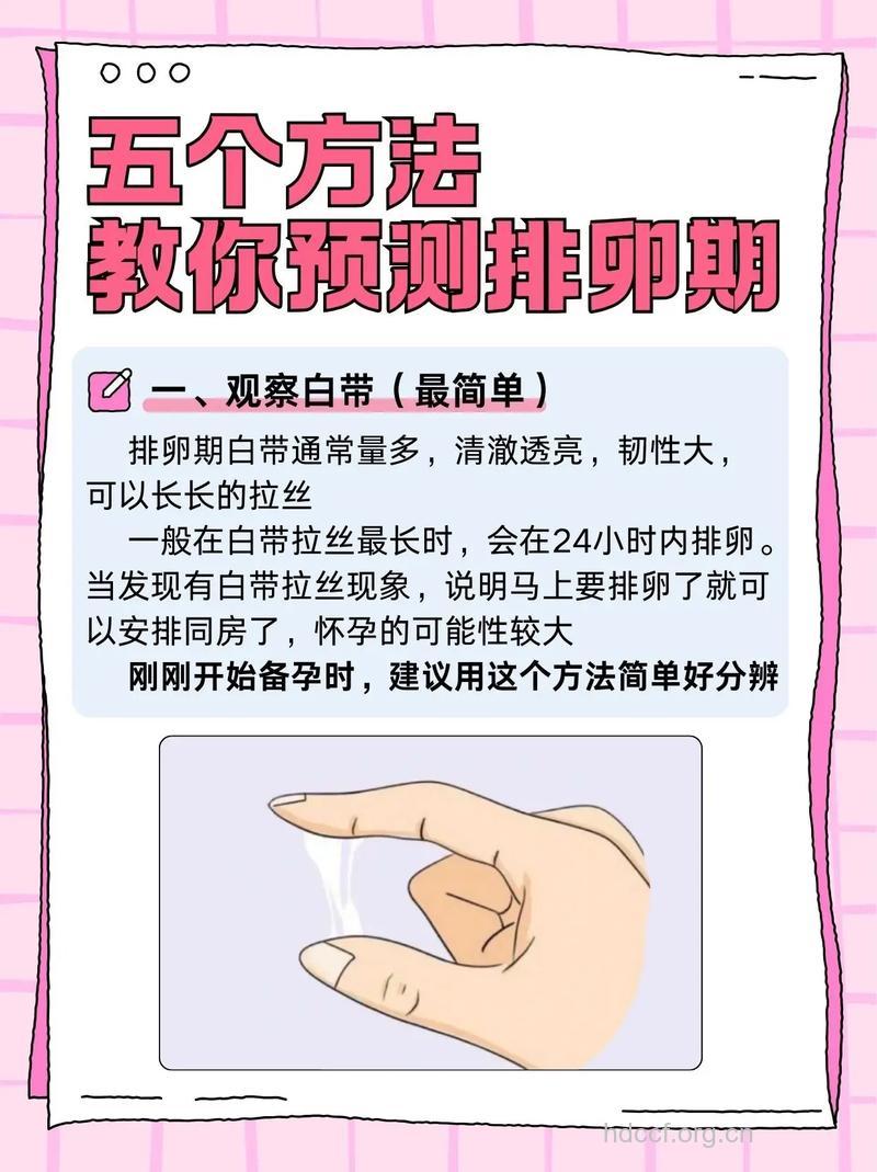 女性怎么样知道排不排卵