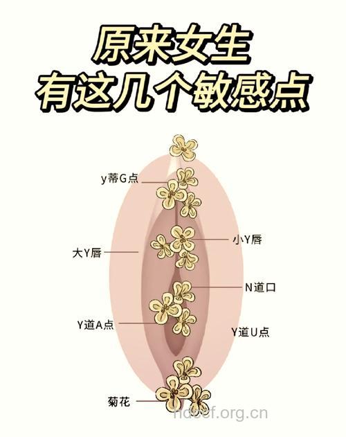 女人身体十大敏感地带揭秘