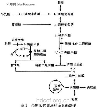先天性代谢缺陷病