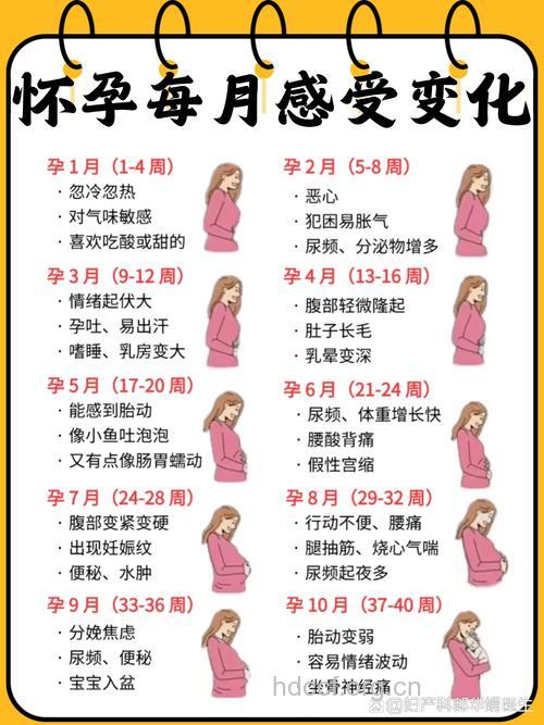 孕后多久怎么判断宫外孕