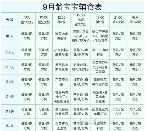 九个月宝宝辅食食谱