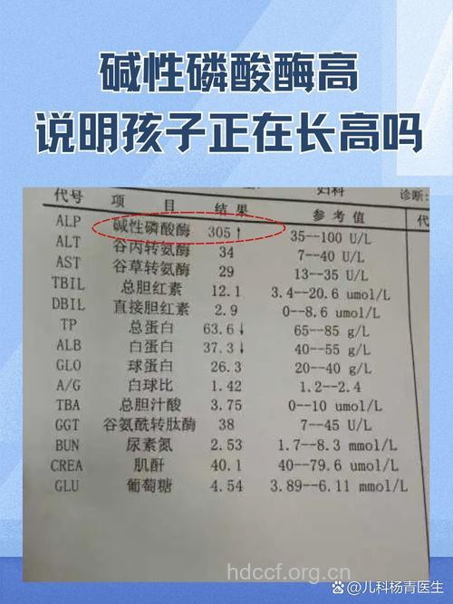 婴儿碱性磷酸酶偏高