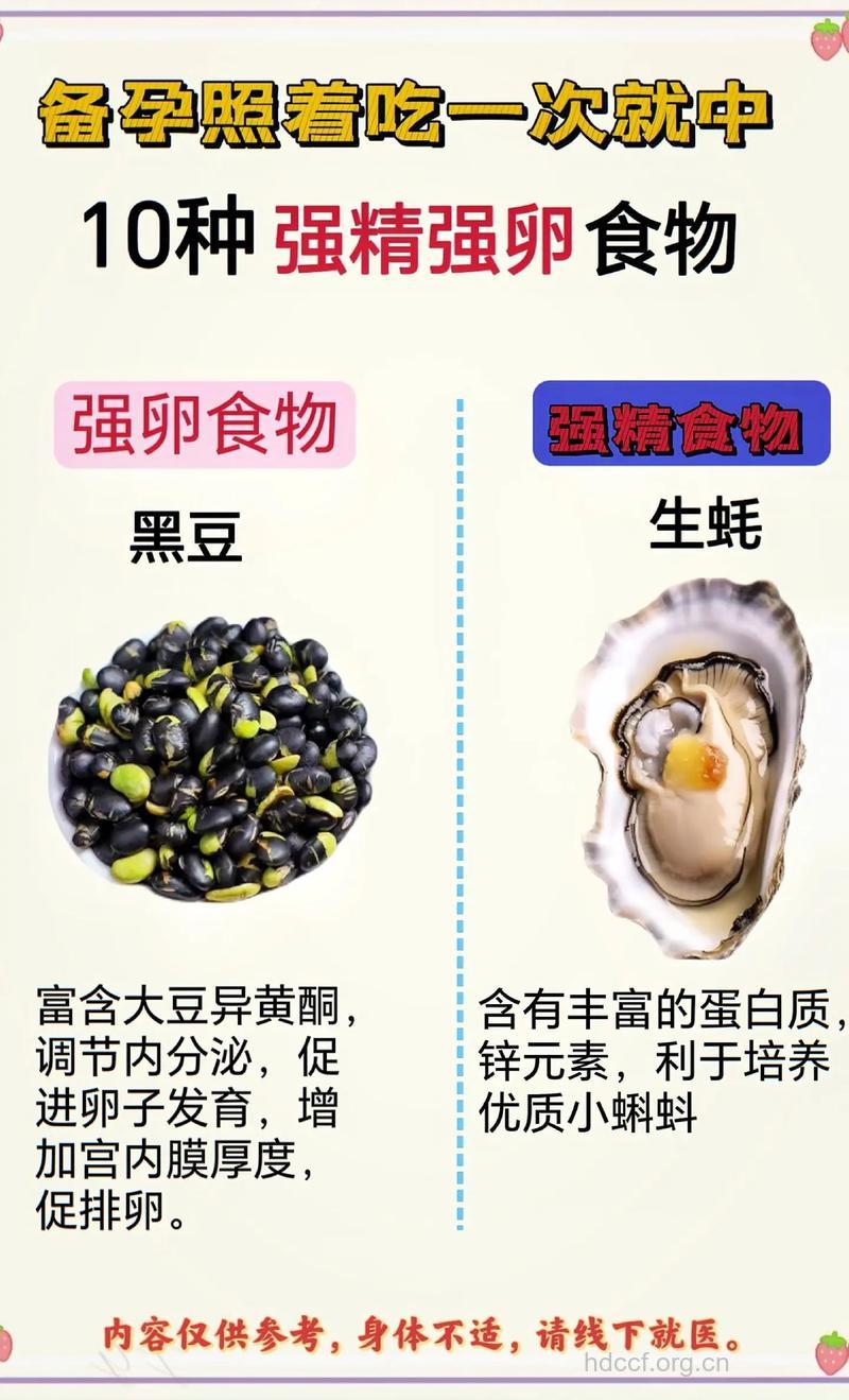 烟酒对卵子杀伤力强 提高卵子质量吃什么？