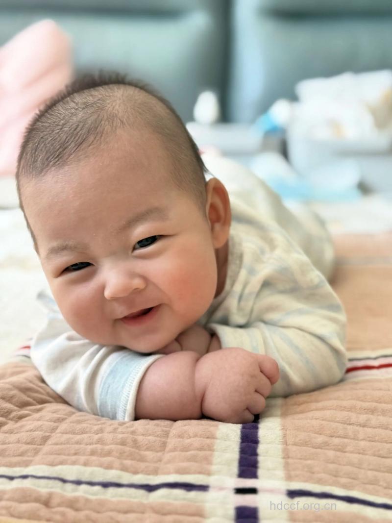 4个月宝宝