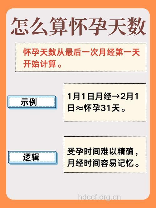 你知道怀孕时间怎么算吗