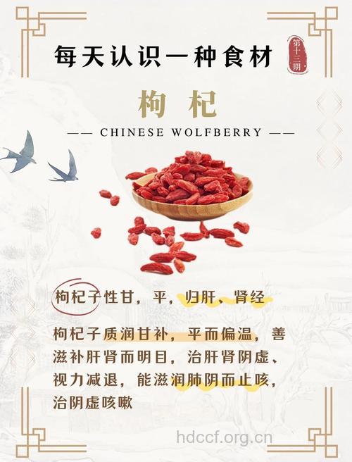 女人吃枸杞好处多 这些食用禁忌必知