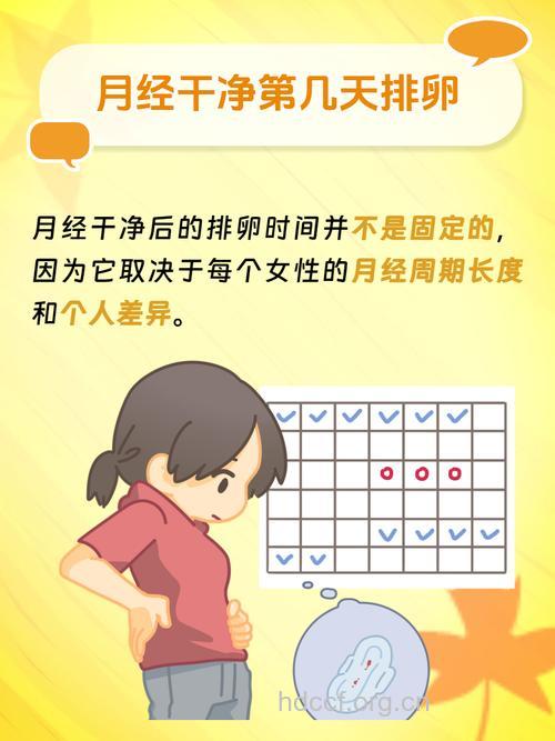 月经正常不排卵影响生育吗