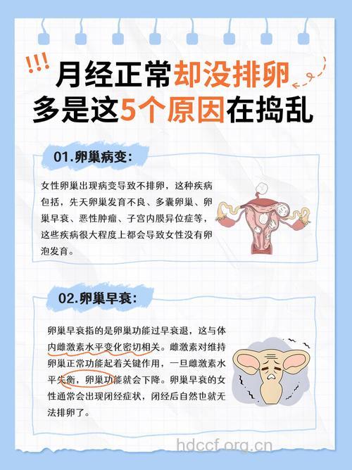 女性不排卵的原因大盘点