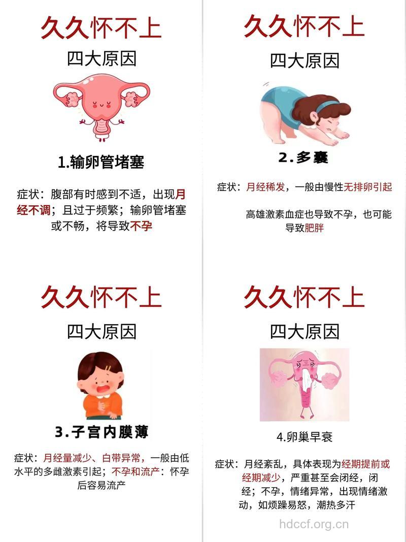 引起女性不孕的因素是哪