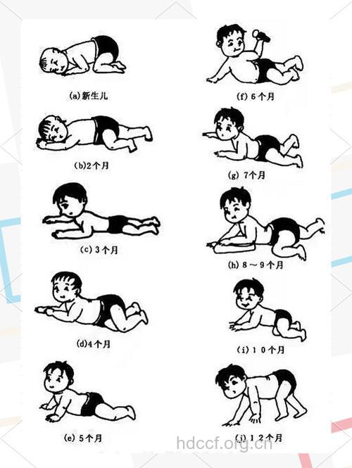 婴儿动作发育