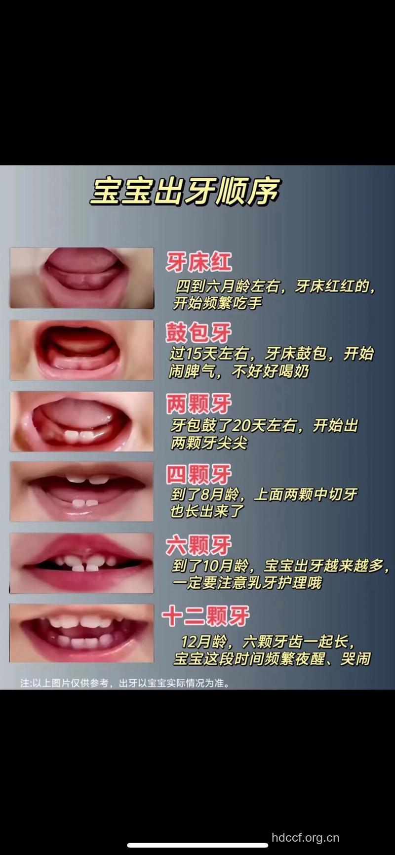 宝宝几个月长牙